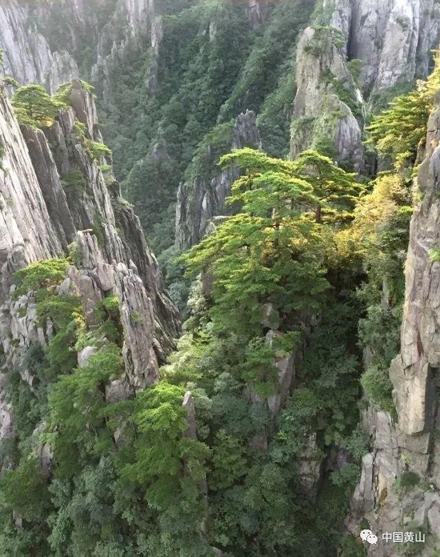 阿里及雷军公司等退股车来了