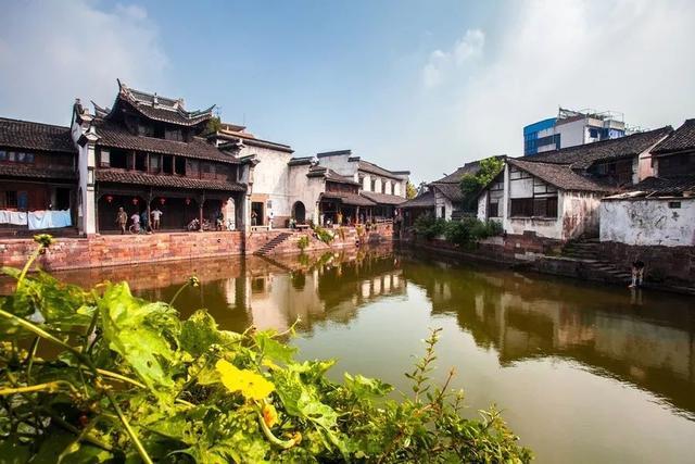 小长颈鹿逃离